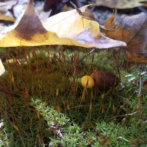 Meet your Posher, Chelsey - Picture 13 of 16